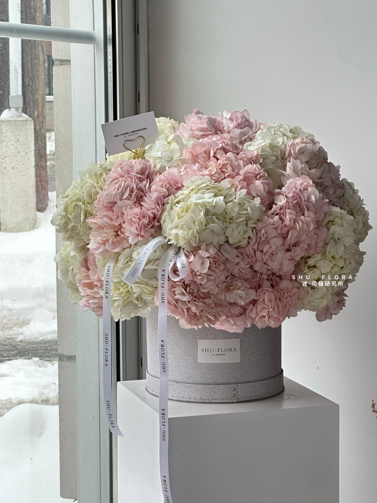 Hydrangea Hug Flower Box