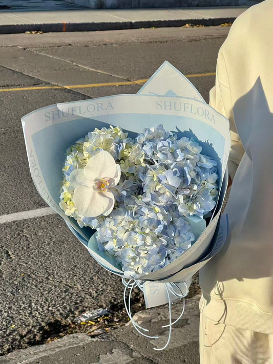 Blue Hydrangea