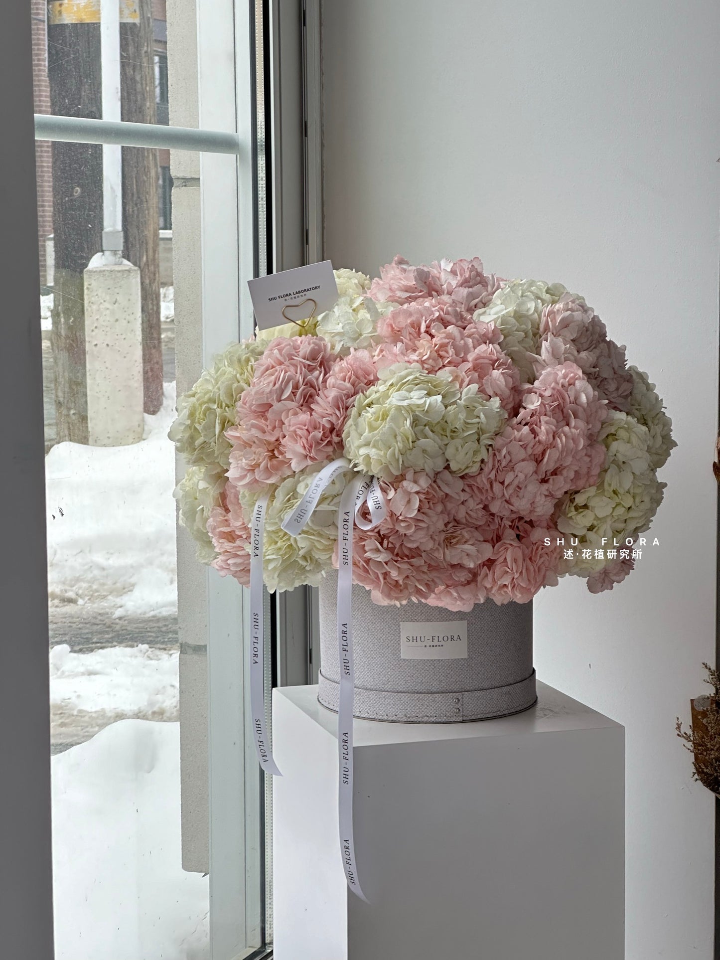 Hydrangea Hug Flower Box