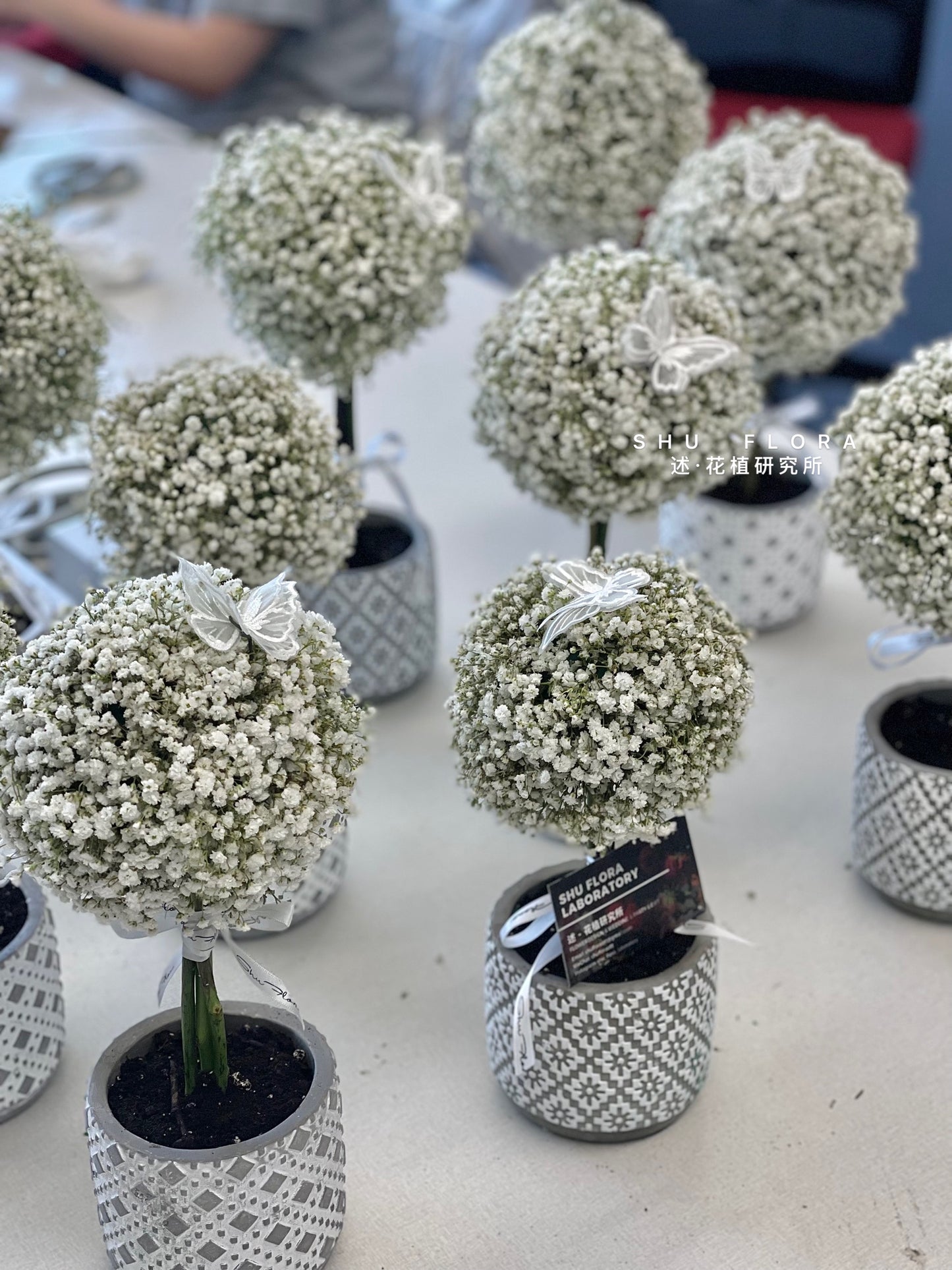 SHU's Flower Tree Workshop