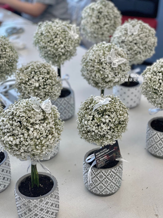 SHU's Flower Tree Workshop