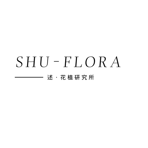 Wechat order