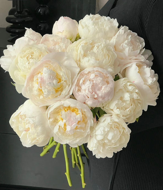 Blush/White Peony Bouquet- Mother’s Choice