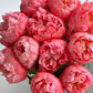 Coral Peony Bouquet