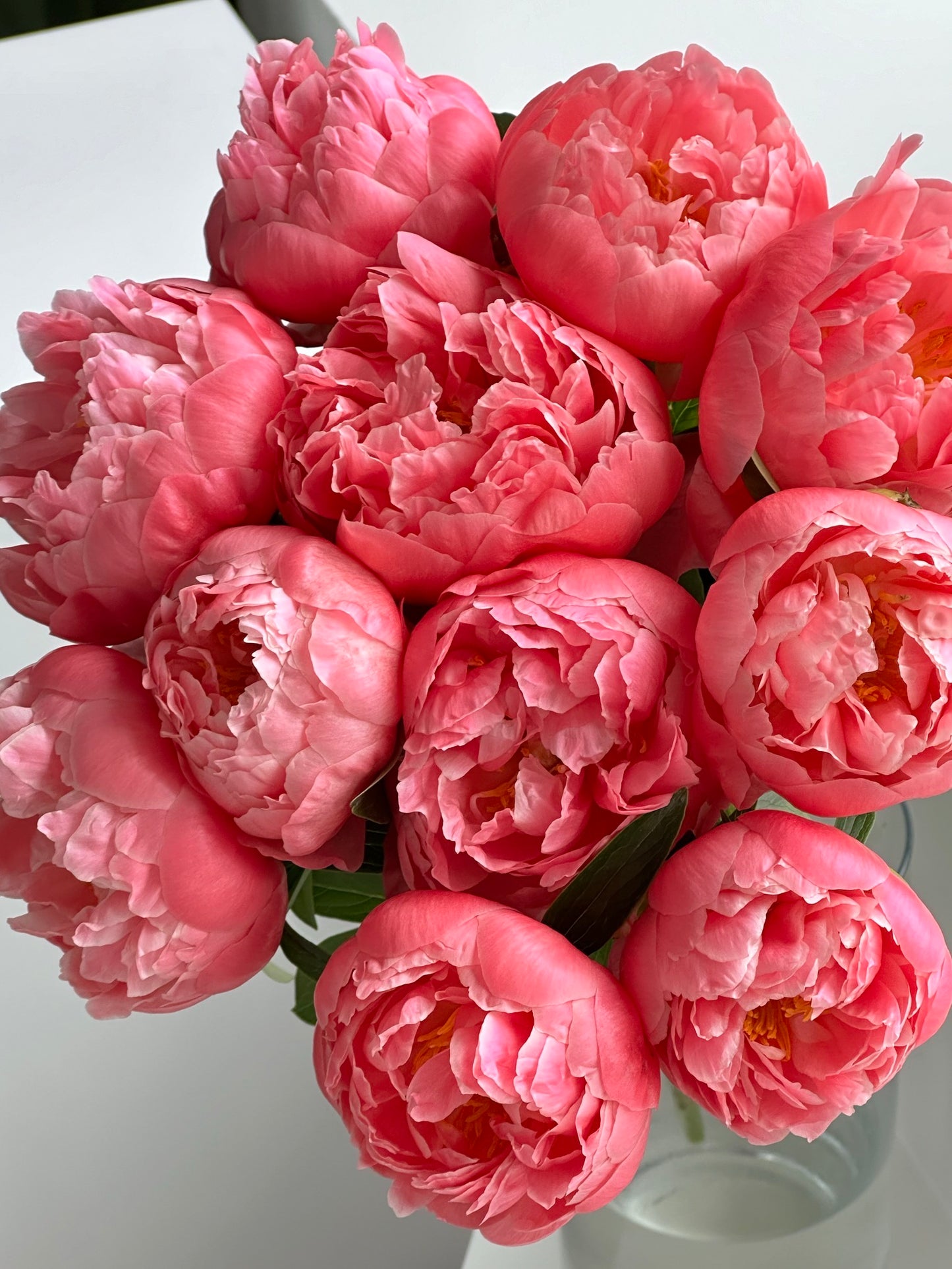 Coral Peony Bouquet