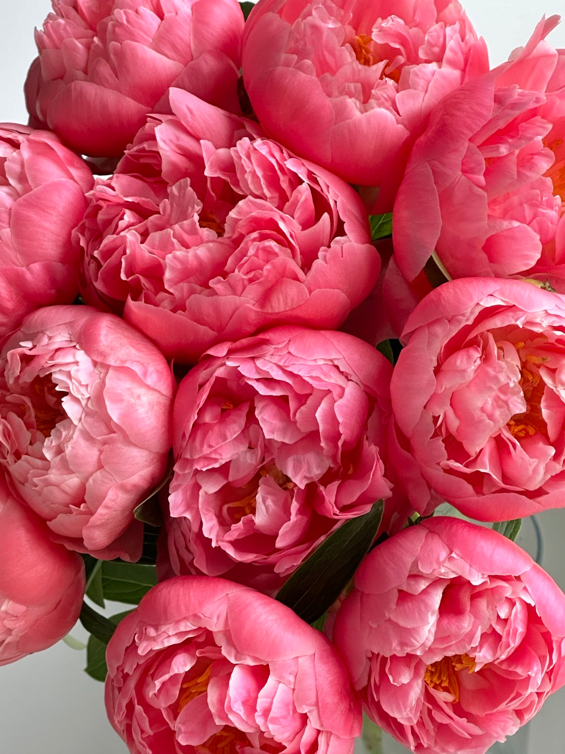 Coral Peony Bouquet