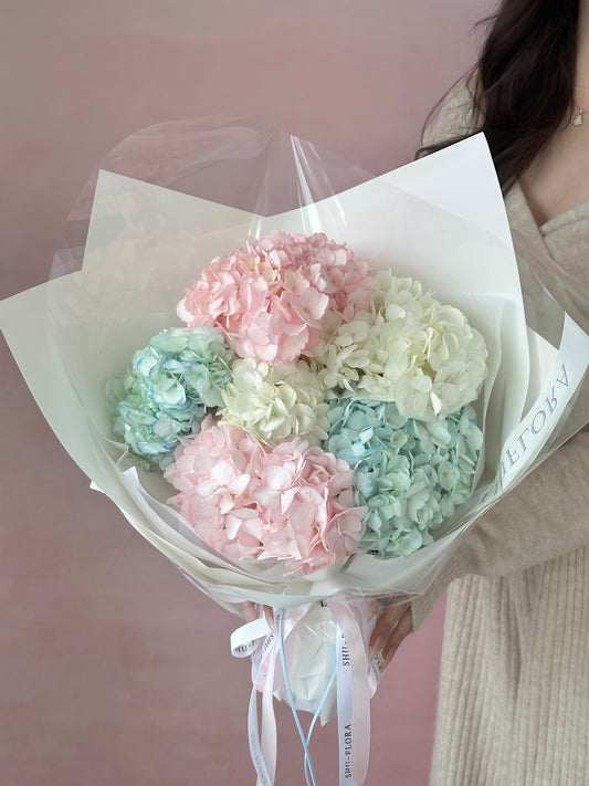 Pastel Hydrangea