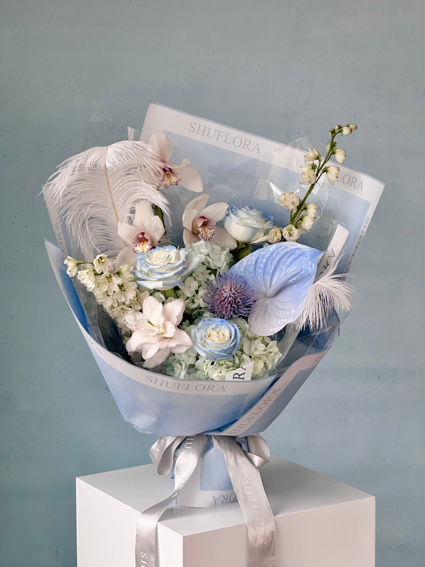 Shu's Signature - Blue Mood