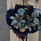 Midnight Blue – Premium Dyed Bouquet